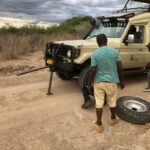 Ruaha cambio gomma
